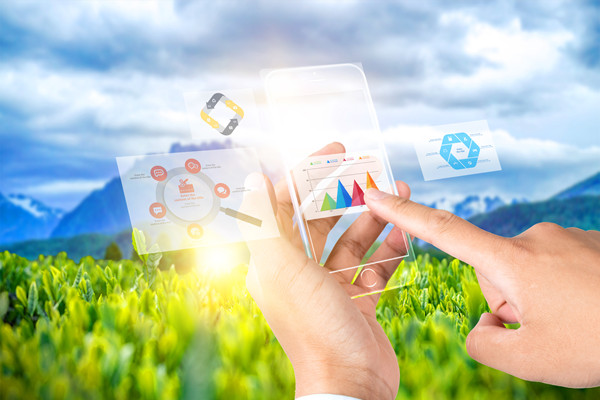 供應鏈管理：打造高效、靈活與可持續的供應鏈網絡