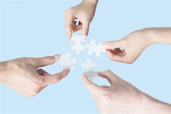 單體公司與集團型公司運作的差異體現在哪些地方？