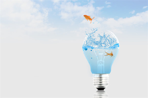 市場變化下，組織規劃如何快速響應與調整來適應？