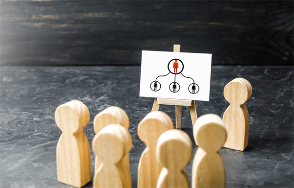 如何設計集團管控架構以支持多元化業務增長？