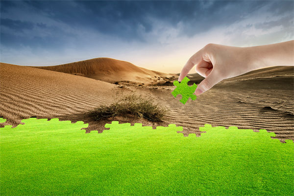 企業深陷困境，管理咨詢如何以雷霆手段打破發展僵局？