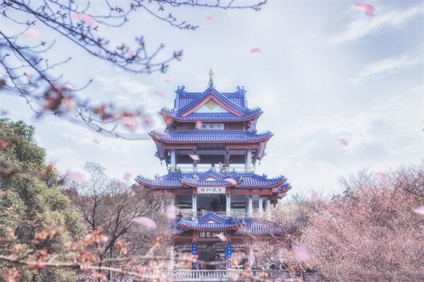 供應(yīng)鏈成本居高不下，無錫供應(yīng)鏈咨詢公司如何精準(zhǔn)砍出利潤空間？