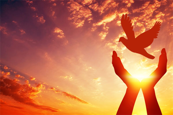 別讓盲卡盲盒“收割”孩子，關(guān)聯(lián)企業(yè)戰(zhàn)略怎么看？