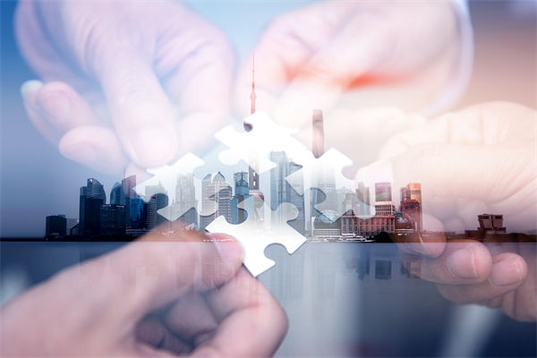 強行復制標桿企業文化，自身組織基因是否被無視？