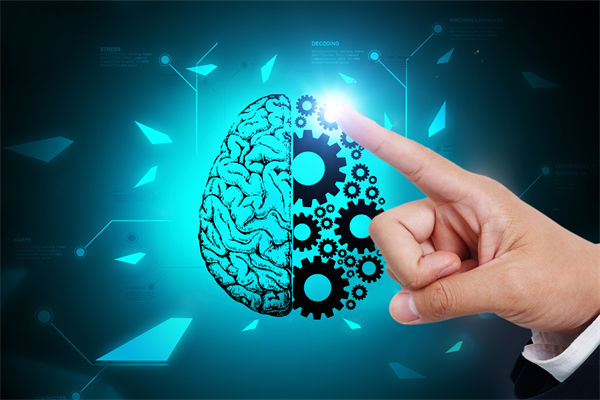 人力資源管理流程規范嚴謹，員工創造力為何反而受抑制？