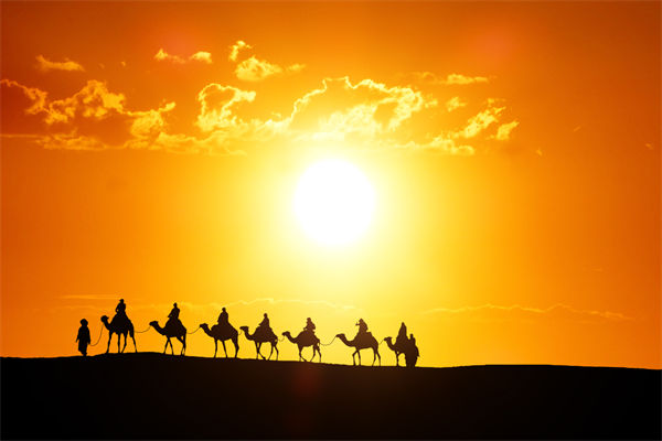 高層標榜的企業文化，如何穿透形式真正落地生根？