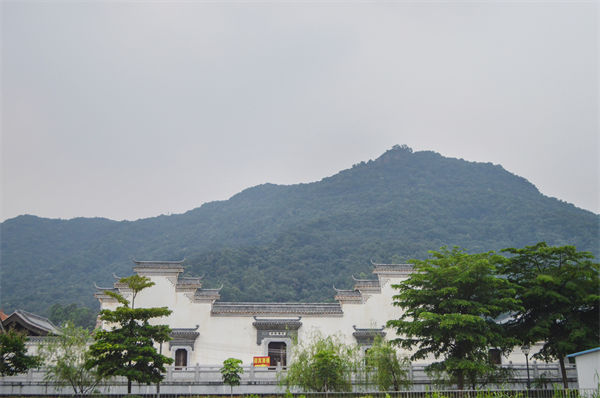 子公司各自為戰內耗大，佛山集團管控咨詢公司有何整合之道？