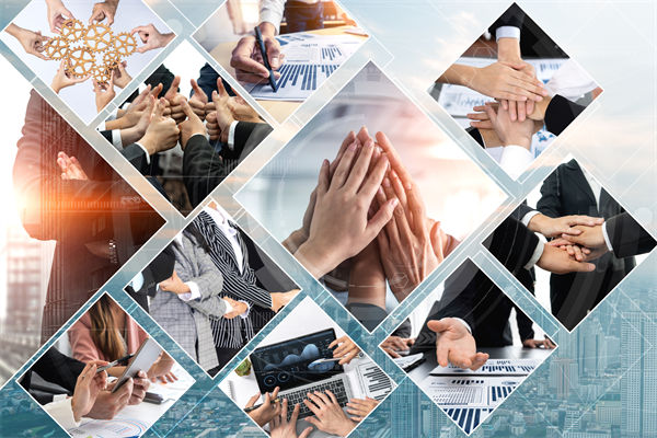 推動綠色發展，上合組織在行動，企業有何啟示？