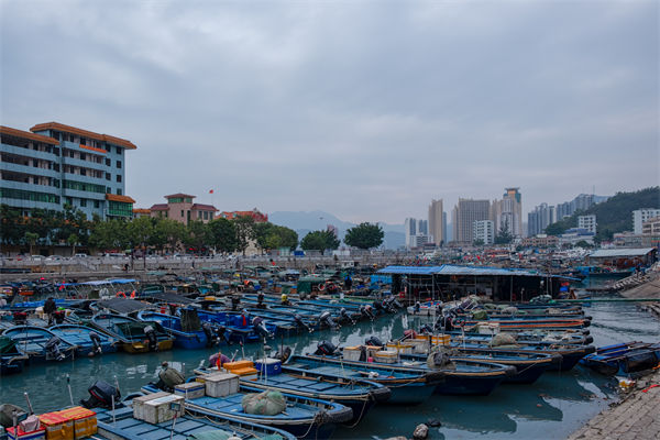 精益生產(chǎn)分析：開海第一網(wǎng)撈8000斤，船長合不攏嘴