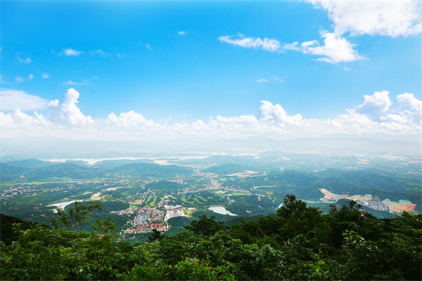 企業戰略飄在半空落地難，惠州戰略咨詢公司能錨定方向嗎？