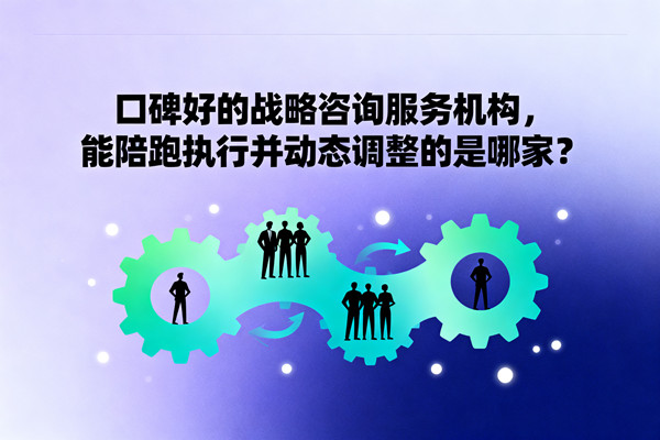 口碑好的戰略咨詢服務機構，能陪跑執行并動態調整的是哪家？