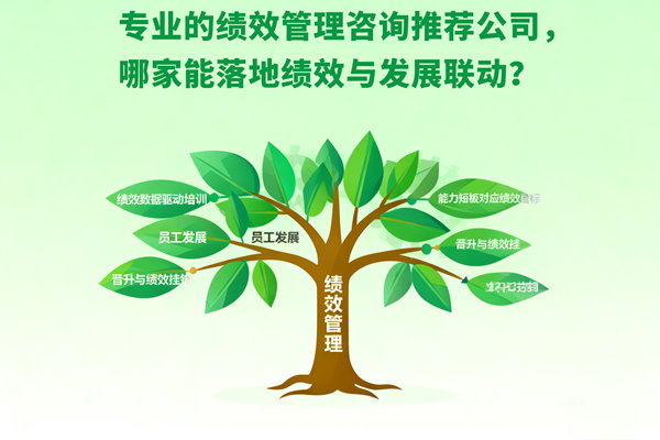 專業的績效管理咨詢推薦公司，哪家能落地績效與發展聯動？